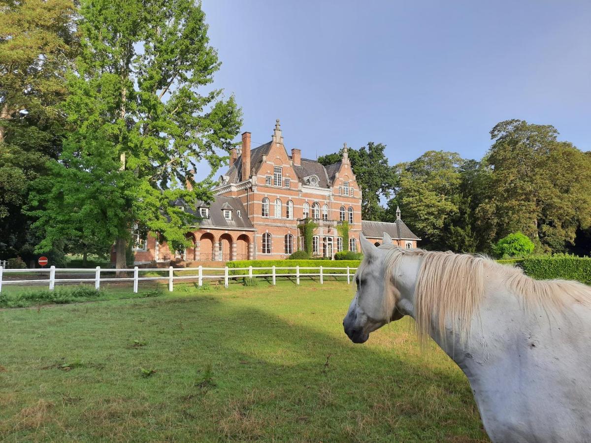 B&B Chateau De Ramegnies-Chin Tournai Zewnętrze zdjęcie